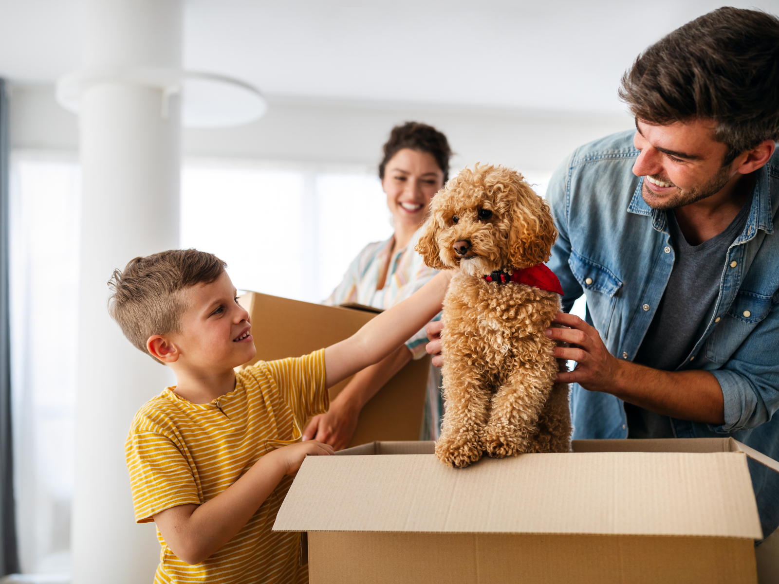 Famille heureuse accueillant un chiot à la maison, déballant les essentiels pour chien. Préparez votre liste indispensable pour l’arrivée d’un chiot !